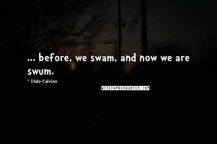 Italo Calvino Quotes: ... before, we swam, and now we are swum.