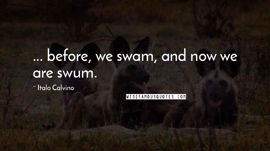 Italo Calvino Quotes: ... before, we swam, and now we are swum.