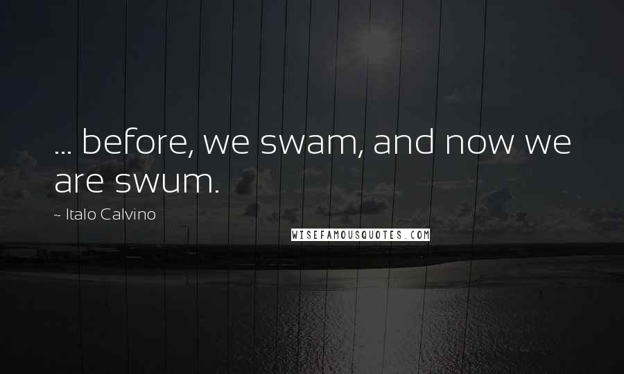 Italo Calvino Quotes: ... before, we swam, and now we are swum.