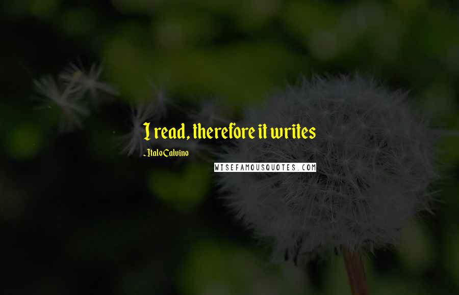 Italo Calvino Quotes: I read, therefore it writes