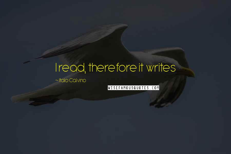 Italo Calvino Quotes: I read, therefore it writes