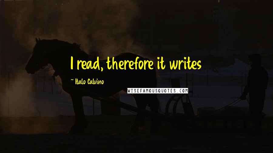 Italo Calvino Quotes: I read, therefore it writes