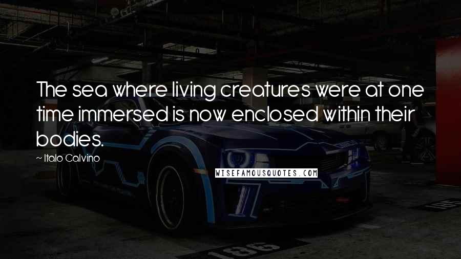 Italo Calvino Quotes: The sea where living creatures were at one time immersed is now enclosed within their bodies.
