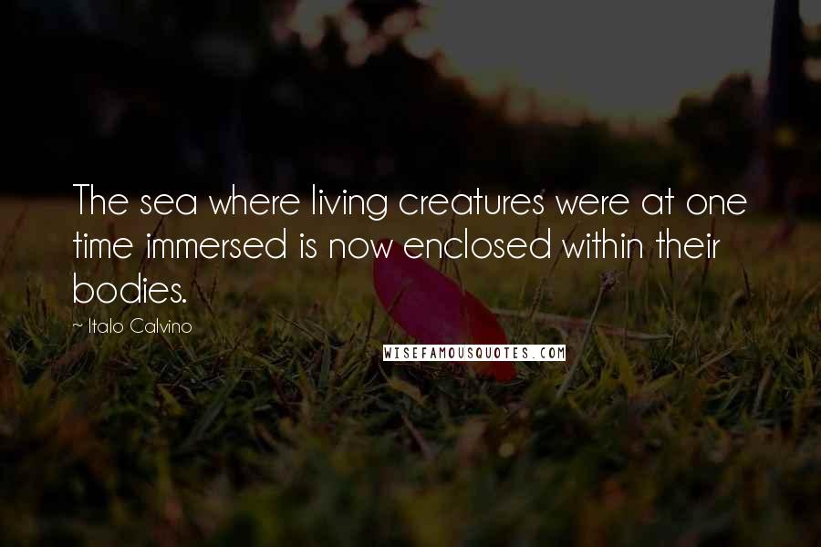 Italo Calvino Quotes: The sea where living creatures were at one time immersed is now enclosed within their bodies.