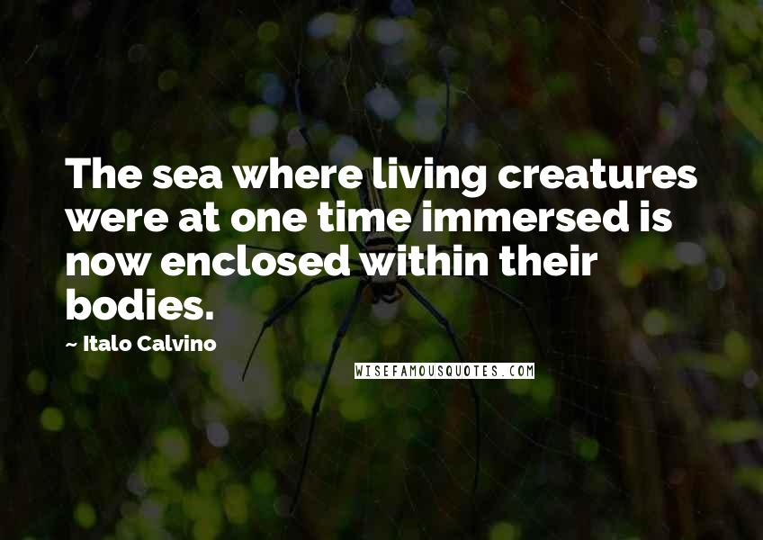 Italo Calvino Quotes: The sea where living creatures were at one time immersed is now enclosed within their bodies.