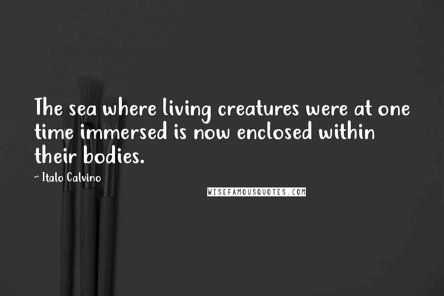 Italo Calvino Quotes: The sea where living creatures were at one time immersed is now enclosed within their bodies.