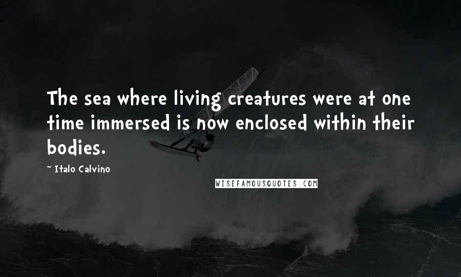 Italo Calvino Quotes: The sea where living creatures were at one time immersed is now enclosed within their bodies.