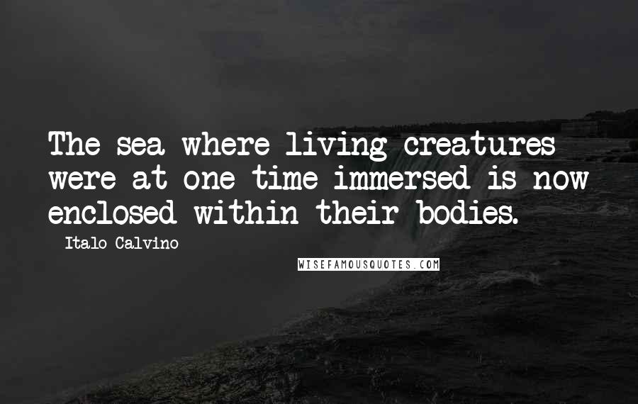 Italo Calvino Quotes: The sea where living creatures were at one time immersed is now enclosed within their bodies.