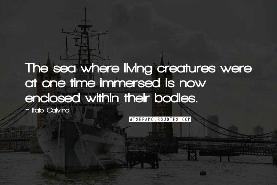 Italo Calvino Quotes: The sea where living creatures were at one time immersed is now enclosed within their bodies.