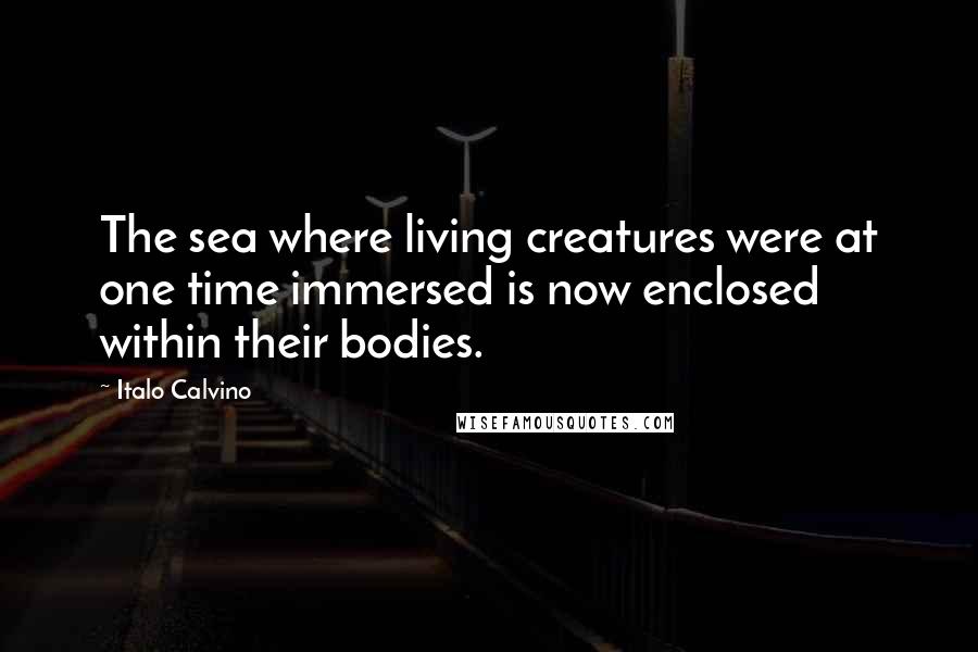 Italo Calvino Quotes: The sea where living creatures were at one time immersed is now enclosed within their bodies.