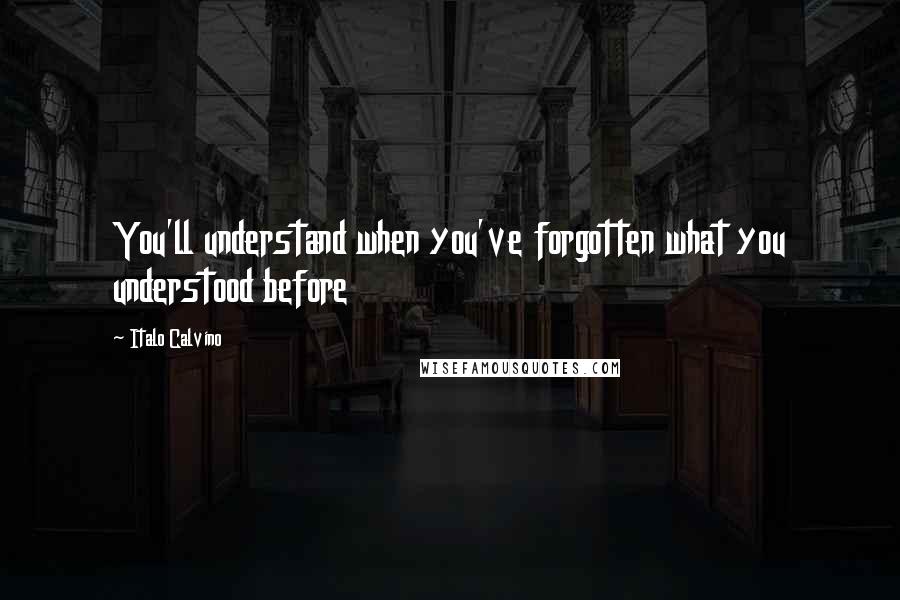 Italo Calvino Quotes: You'll understand when you've forgotten what you understood before