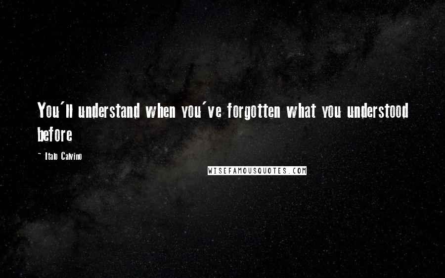 Italo Calvino Quotes: You'll understand when you've forgotten what you understood before