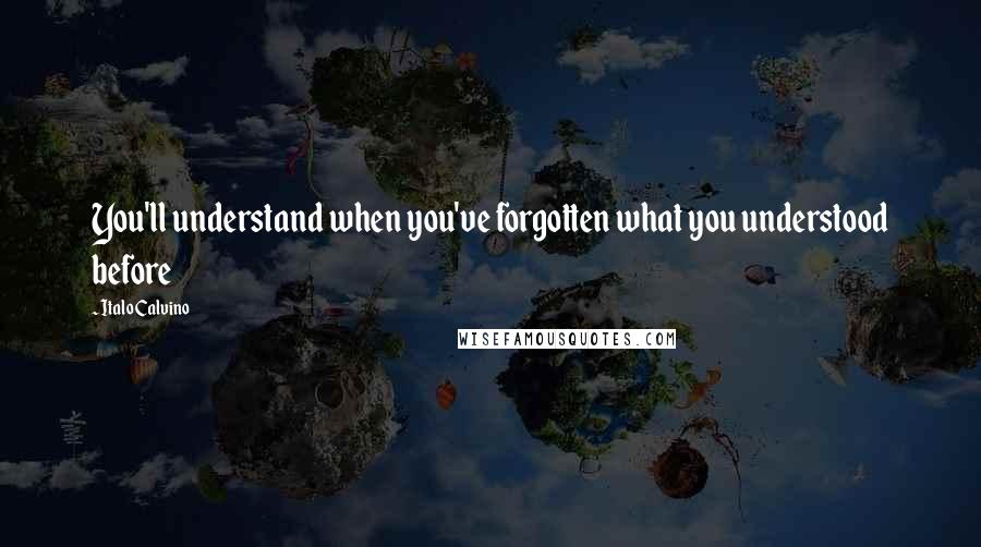 Italo Calvino Quotes: You'll understand when you've forgotten what you understood before