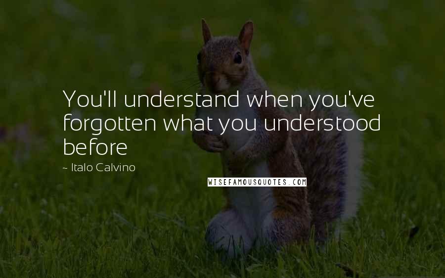 Italo Calvino Quotes: You'll understand when you've forgotten what you understood before