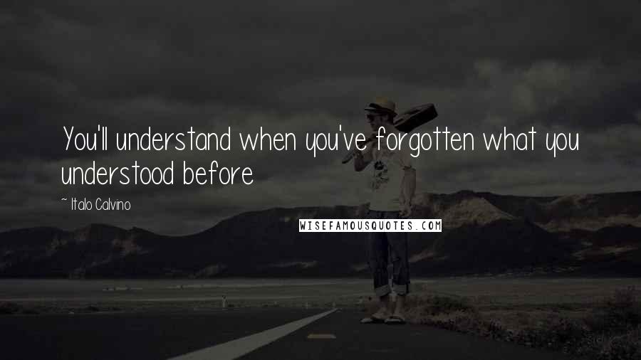 Italo Calvino Quotes: You'll understand when you've forgotten what you understood before