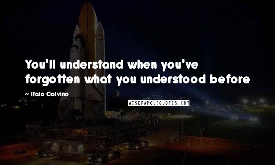 Italo Calvino Quotes: You'll understand when you've forgotten what you understood before