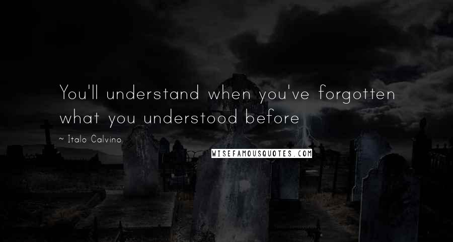 Italo Calvino Quotes: You'll understand when you've forgotten what you understood before