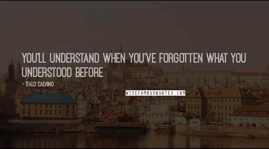 Italo Calvino Quotes: You'll understand when you've forgotten what you understood before
