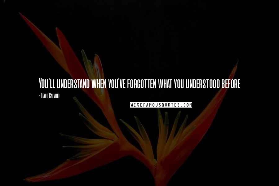 Italo Calvino Quotes: You'll understand when you've forgotten what you understood before