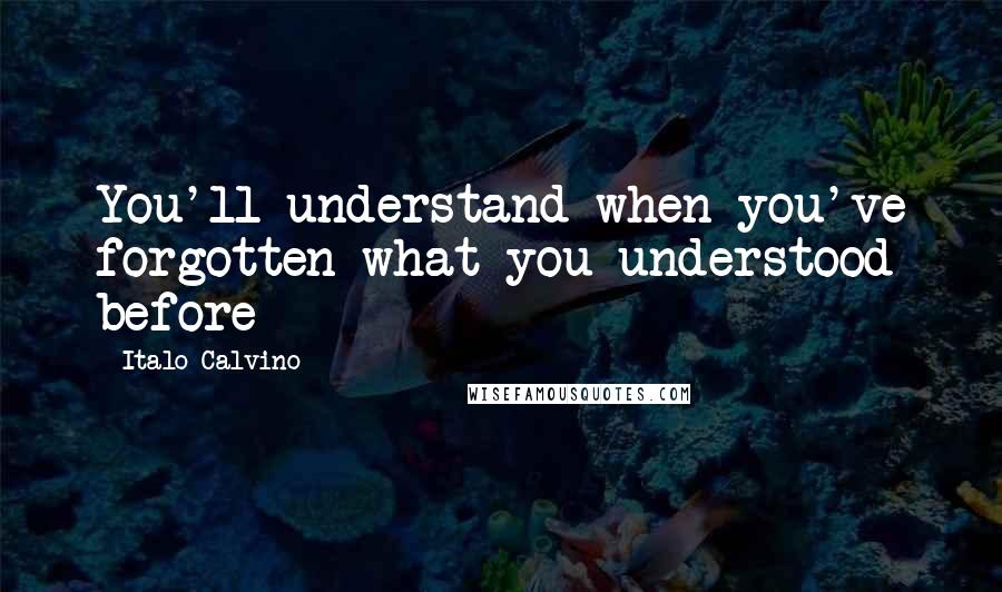 Italo Calvino Quotes: You'll understand when you've forgotten what you understood before