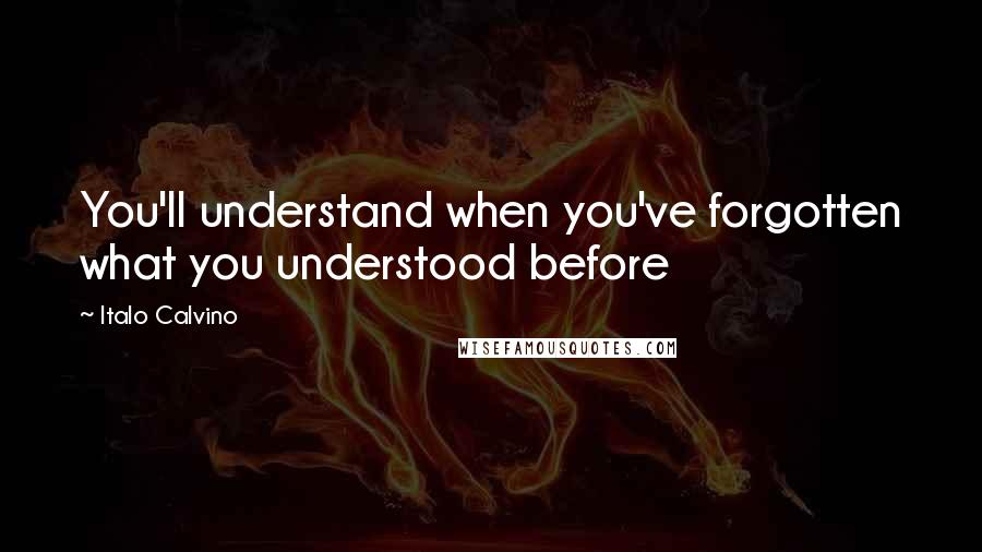 Italo Calvino Quotes: You'll understand when you've forgotten what you understood before