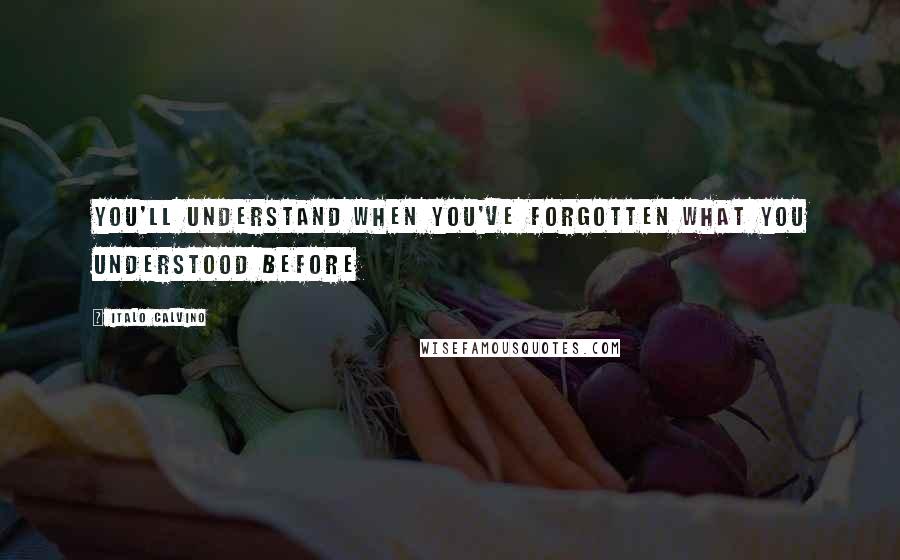 Italo Calvino Quotes: You'll understand when you've forgotten what you understood before