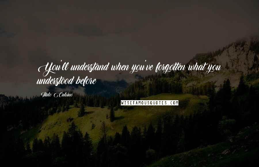 Italo Calvino Quotes: You'll understand when you've forgotten what you understood before
