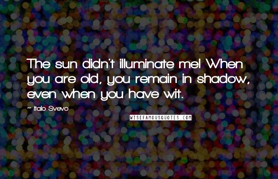 Italo Svevo Quotes: The sun didn't illuminate me! When you are old, you remain in shadow, even when you have wit.