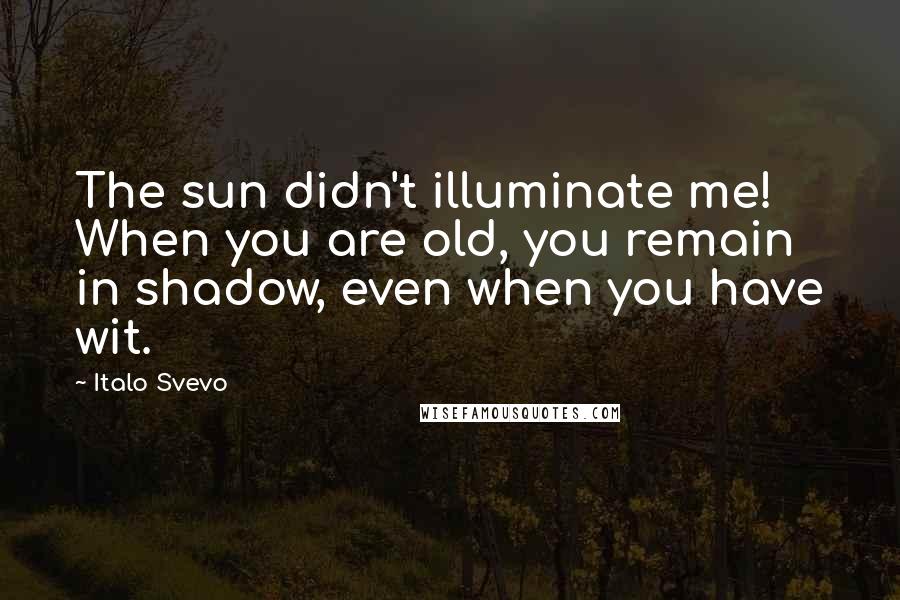 Italo Svevo Quotes: The sun didn't illuminate me! When you are old, you remain in shadow, even when you have wit.