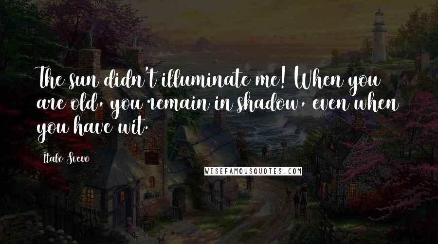 Italo Svevo Quotes: The sun didn't illuminate me! When you are old, you remain in shadow, even when you have wit.