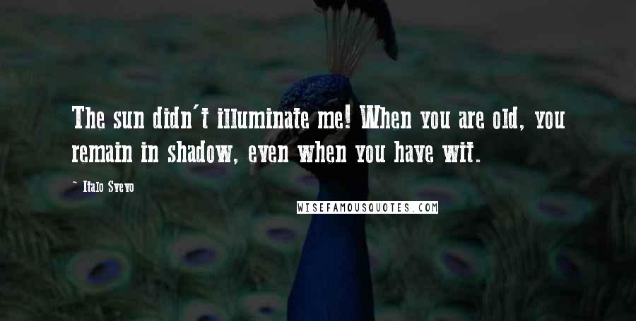 Italo Svevo Quotes: The sun didn't illuminate me! When you are old, you remain in shadow, even when you have wit.