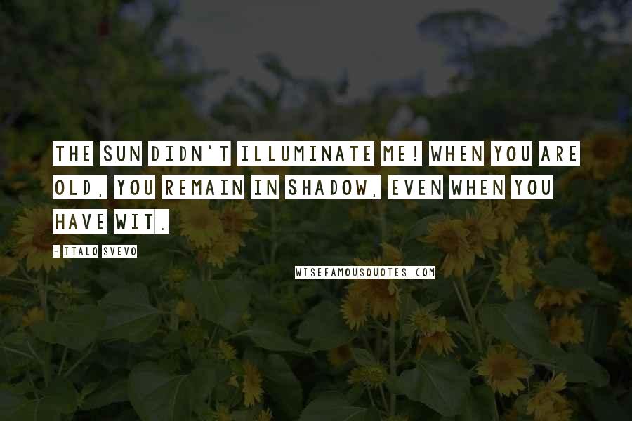 Italo Svevo Quotes: The sun didn't illuminate me! When you are old, you remain in shadow, even when you have wit.