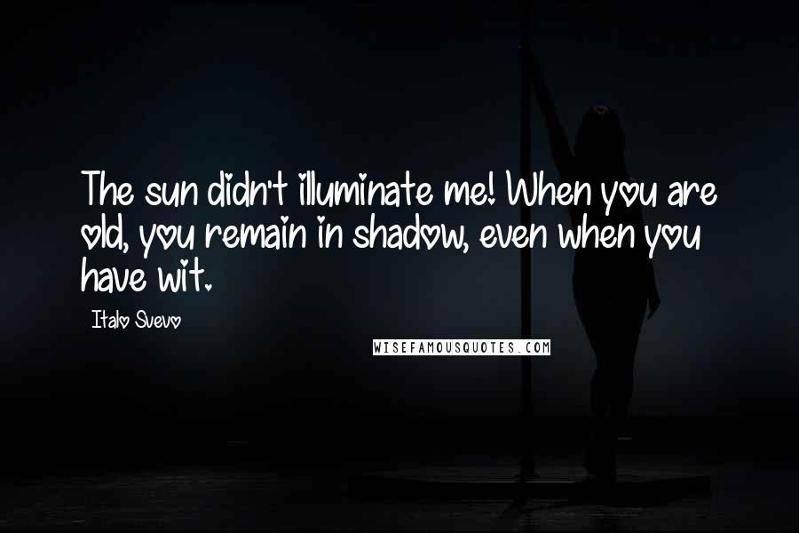 Italo Svevo Quotes: The sun didn't illuminate me! When you are old, you remain in shadow, even when you have wit.