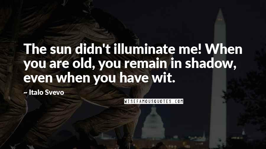 Italo Svevo Quotes: The sun didn't illuminate me! When you are old, you remain in shadow, even when you have wit.