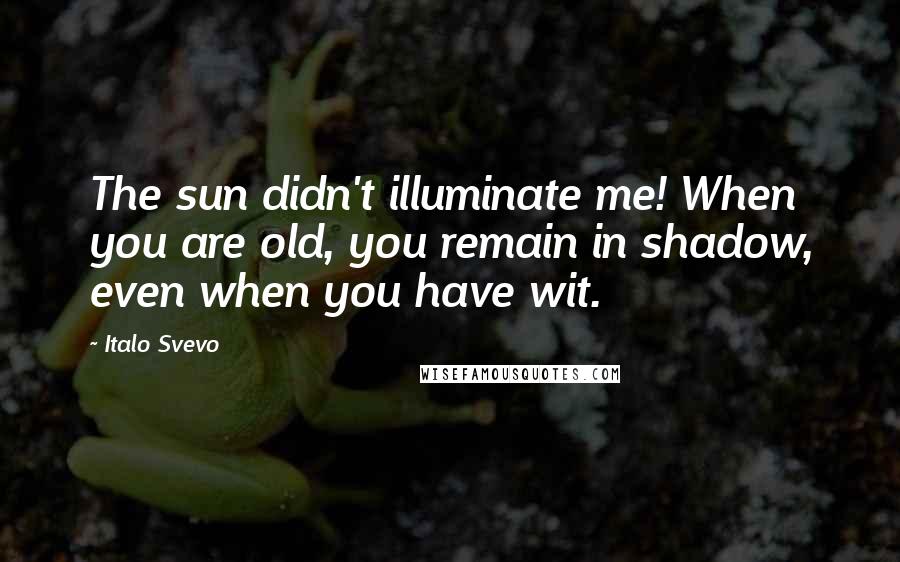 Italo Svevo Quotes: The sun didn't illuminate me! When you are old, you remain in shadow, even when you have wit.