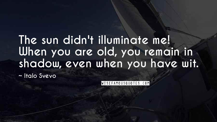 Italo Svevo Quotes: The sun didn't illuminate me! When you are old, you remain in shadow, even when you have wit.