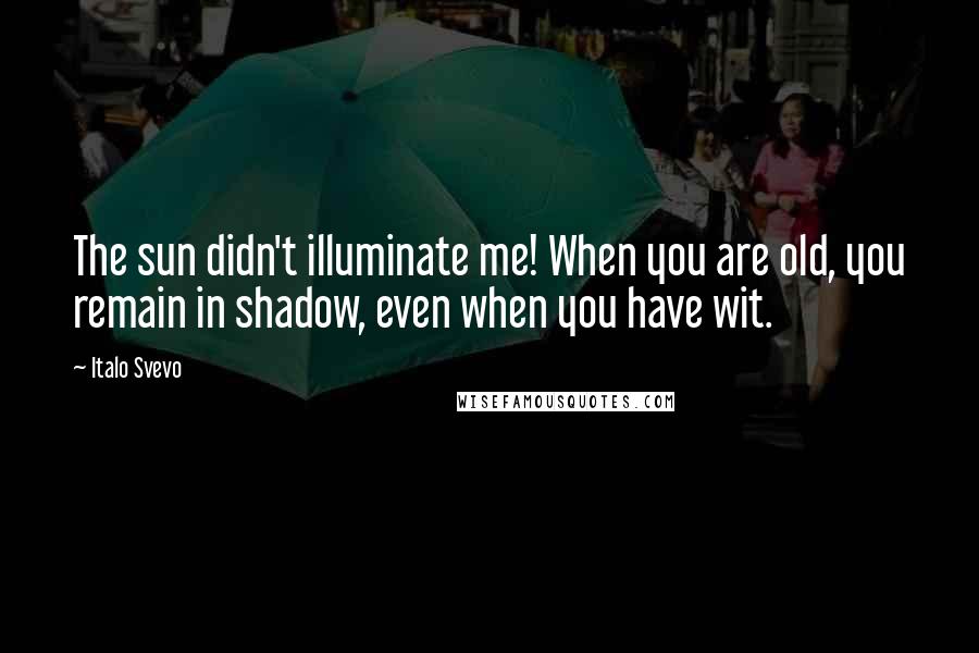 Italo Svevo Quotes: The sun didn't illuminate me! When you are old, you remain in shadow, even when you have wit.