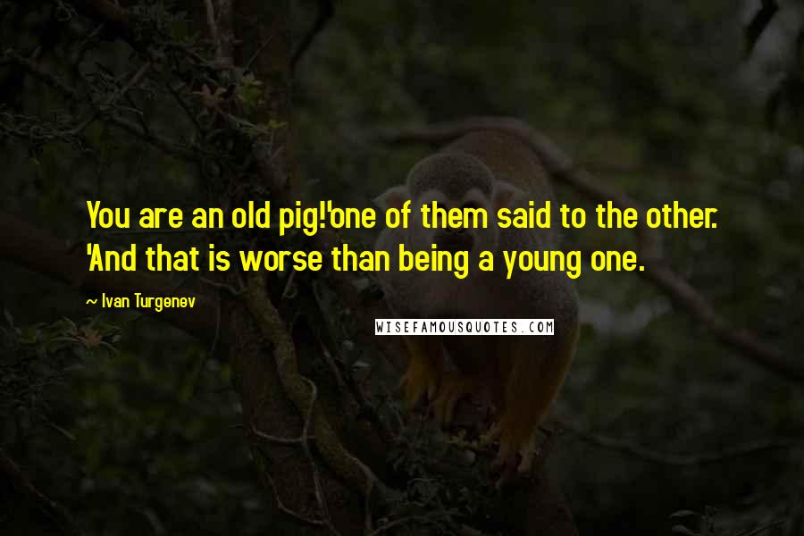 Ivan Turgenev Quotes: You are an old pig!'one of them said to the other. 'And that is worse than being a young one.