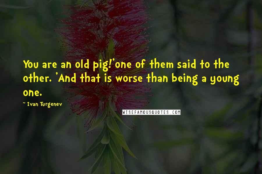 Ivan Turgenev Quotes: You are an old pig!'one of them said to the other. 'And that is worse than being a young one.