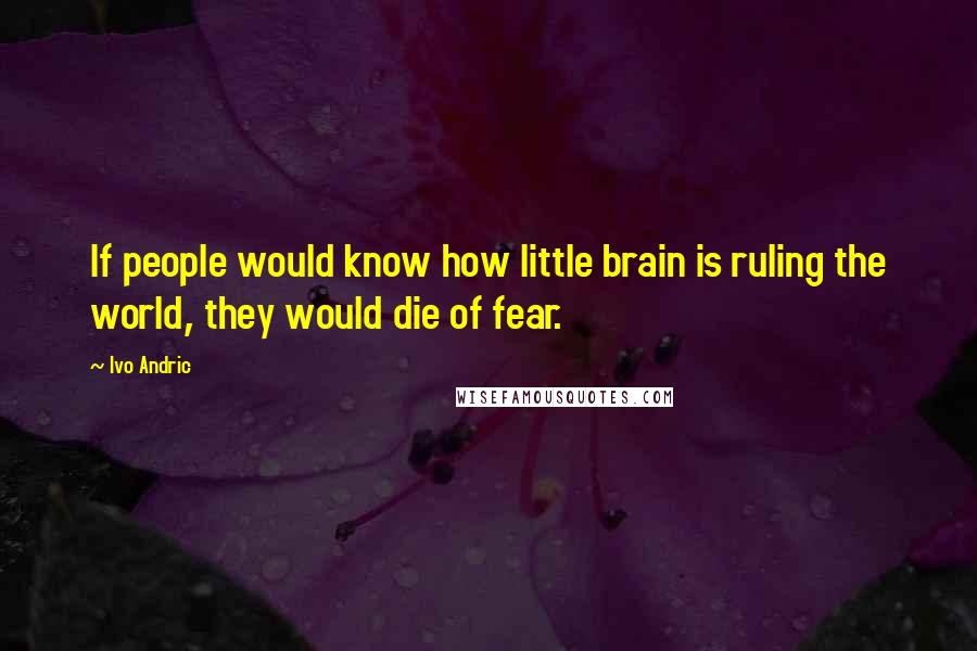 Ivo Andric Quotes: If people would know how little brain is ruling the world, they would die of fear.