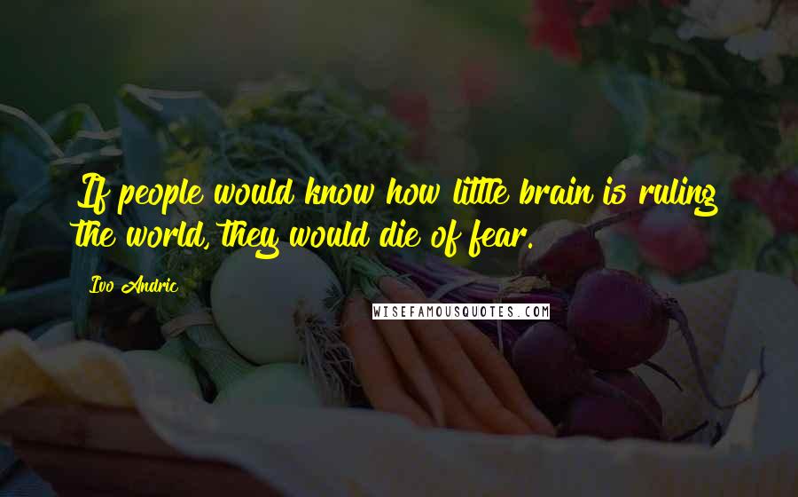 Ivo Andric Quotes: If people would know how little brain is ruling the world, they would die of fear.