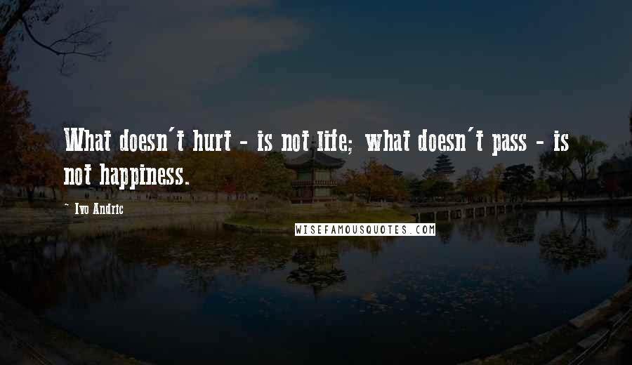 Ivo Andric Quotes: What doesn't hurt - is not life; what doesn't pass - is not happiness.