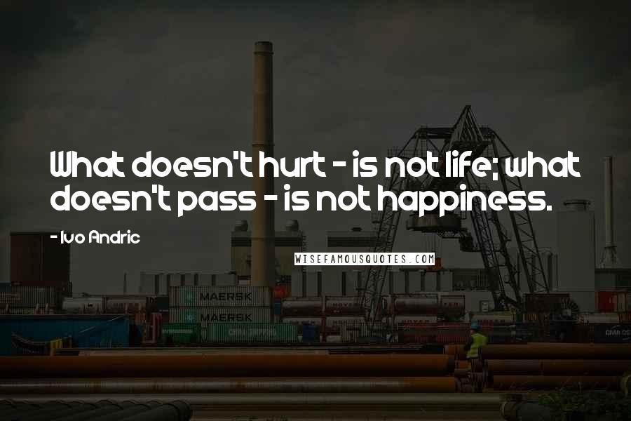 Ivo Andric Quotes: What doesn't hurt - is not life; what doesn't pass - is not happiness.