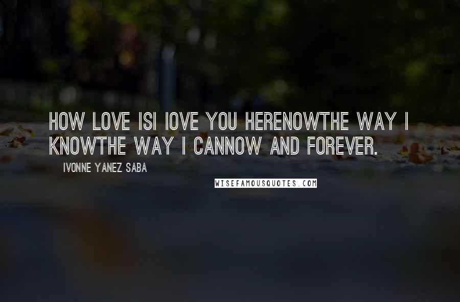 Ivonne Yanez Saba Quotes: How love isI Iove you herenowthe way i knowthe way I cannow and forever.