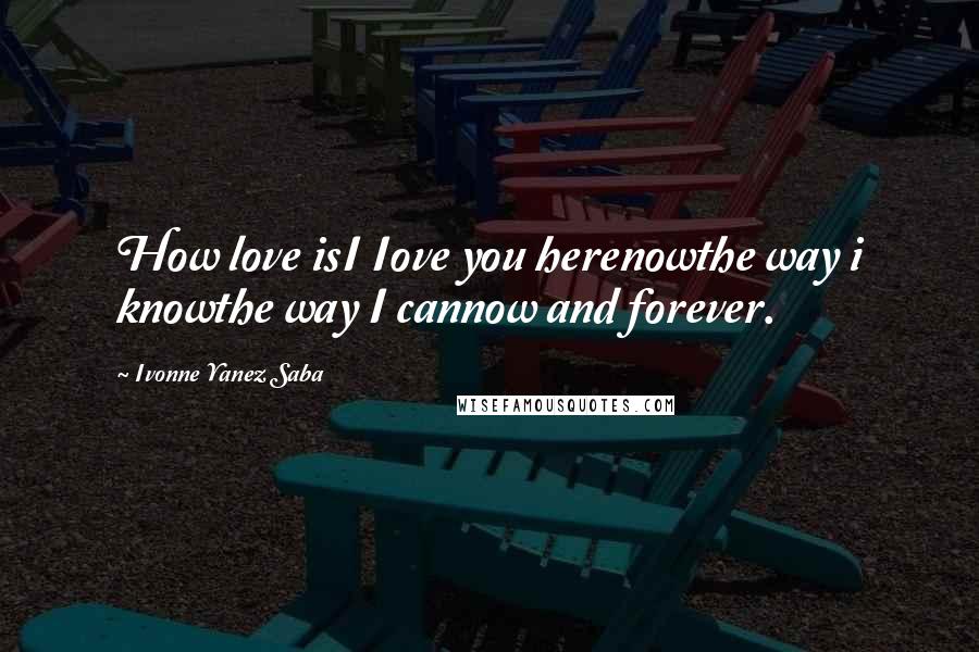 Ivonne Yanez Saba Quotes: How love isI Iove you herenowthe way i knowthe way I cannow and forever.