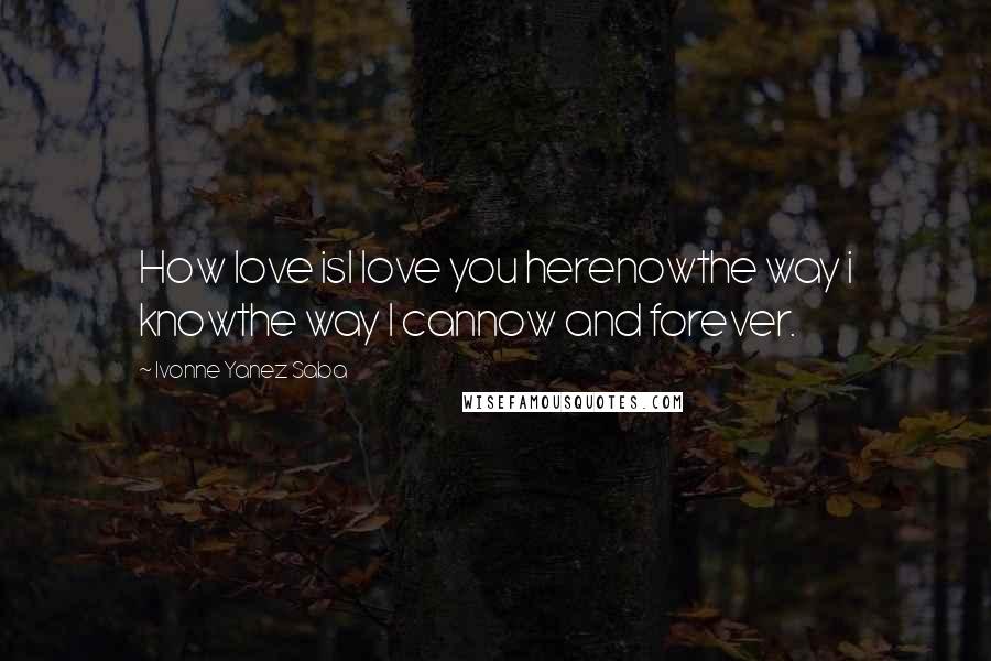 Ivonne Yanez Saba Quotes: How love isI Iove you herenowthe way i knowthe way I cannow and forever.