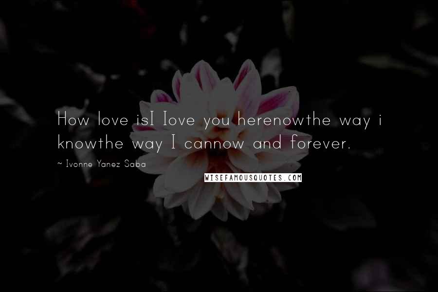 Ivonne Yanez Saba Quotes: How love isI Iove you herenowthe way i knowthe way I cannow and forever.