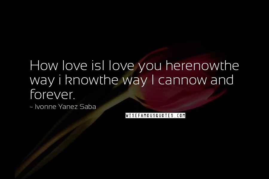 Ivonne Yanez Saba Quotes: How love isI Iove you herenowthe way i knowthe way I cannow and forever.