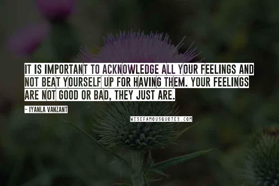 Iyanla Vanzant Quotes: It is important to acknowledge all your feelings and not beat yourself up for having them. Your feelings are not good or bad, they just are.