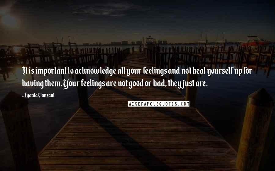 Iyanla Vanzant Quotes: It is important to acknowledge all your feelings and not beat yourself up for having them. Your feelings are not good or bad, they just are.